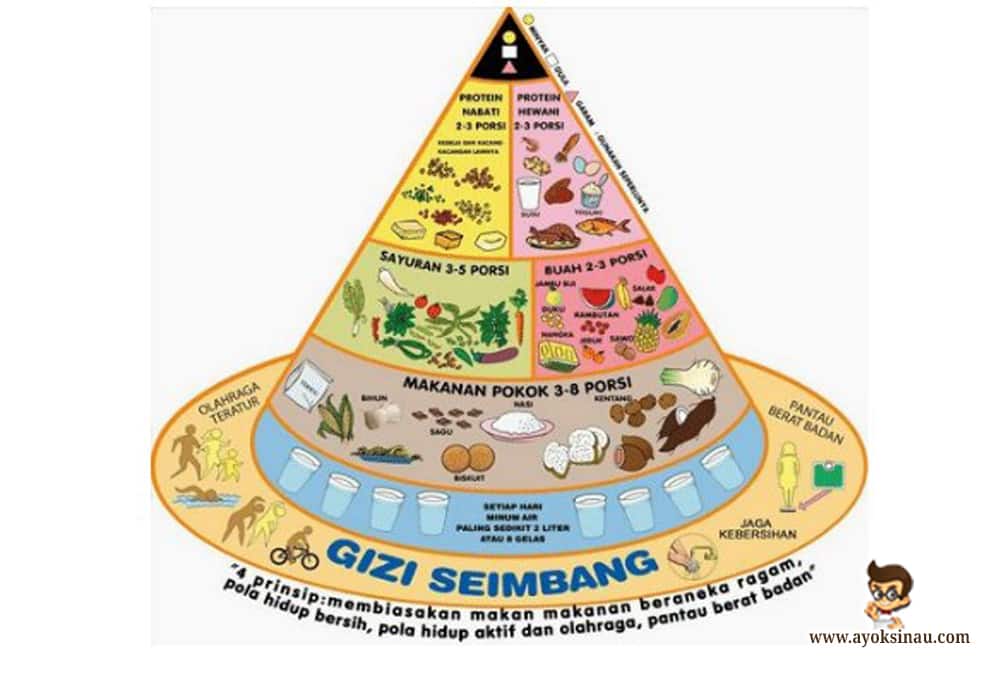 Pengertian dan Manfaat Gizi Untuk Anak&nbsp;Sekolah