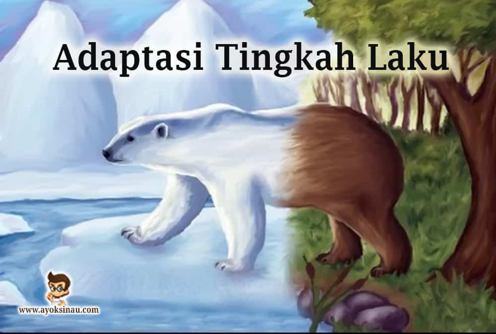 Pengertian dan Macam Adaptasi Tingkah Laku beserta Contohnya