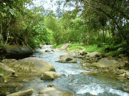 Pengertian Sungai & Jenis-Jenis Serta Manfaat Hingga Pembentukannya |&nbsp;Ayoksinau.com