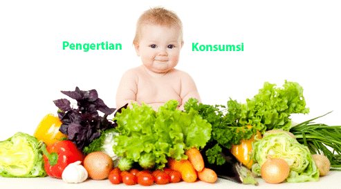 Pengertian Konsumsi & Tujuannya Dalam Kegiatan Ekonomi&nbsp;(Lengkap)