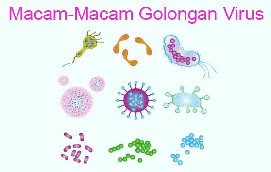 Macam-Macam Virus Beserta Penjelasnnya |&nbsp;Ayoksinau.com