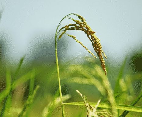 Mengapa Kita Harus&nbsp;Belajar?