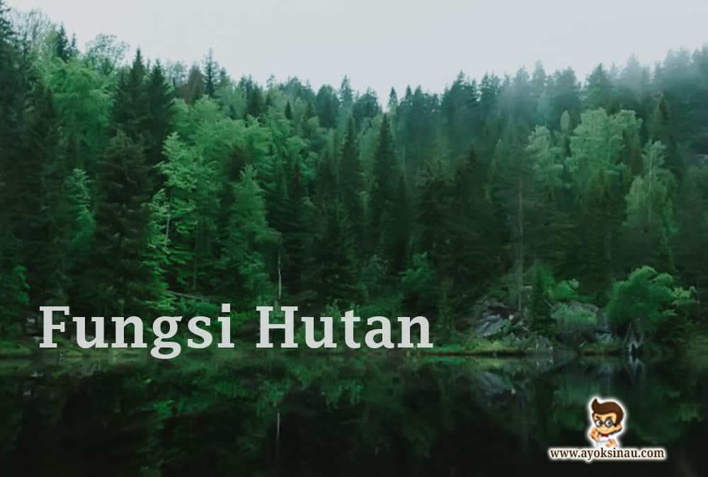 Pengertian dan Fungsi Hutan beserta&nbsp;Manfaatnya